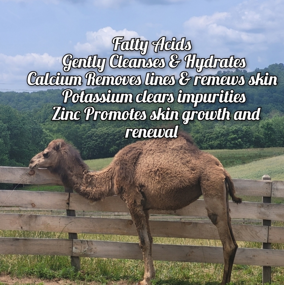 LIMITED QUANTITY Super Beauty Food Camel's Milk Soap - Picture 4 of 14